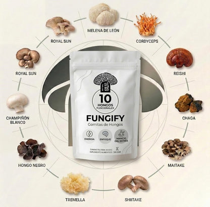 Fungify Gomitas: Concentración Total + Energía Duradera